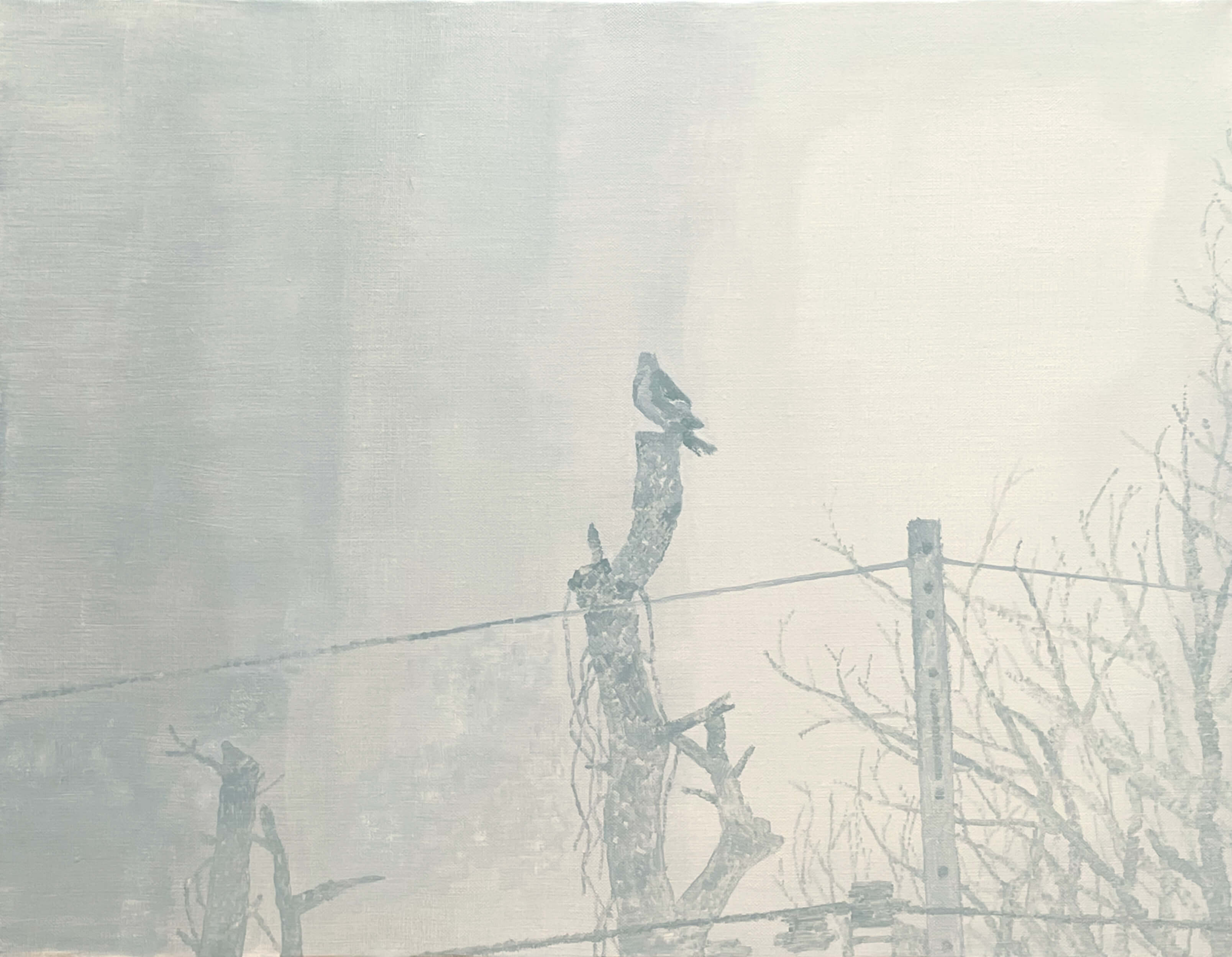 油絵で描いた、ハイタカです。タイトルはハイタカです。2022年制作、サイズが530×410ミリです。